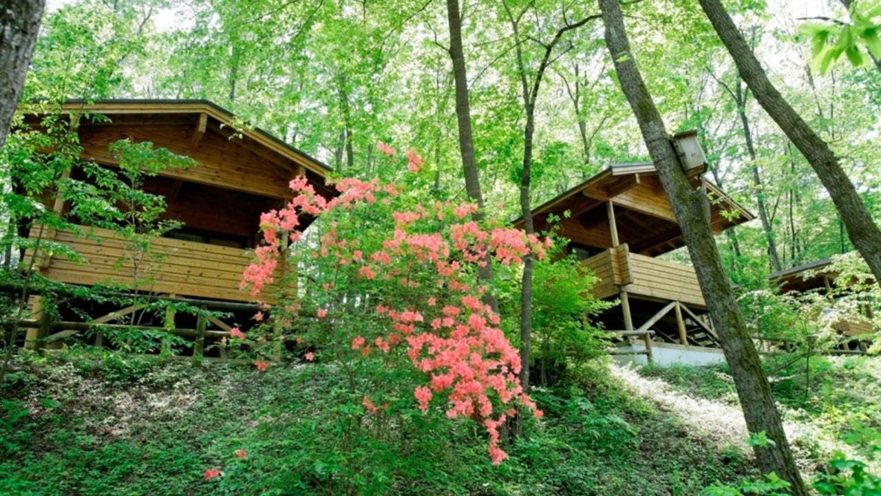 Pica Chichibu Hotell Exteriör bild